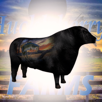 Angus Black Day Sporran